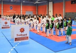 El karate volverá el domingo al pabellón Antonio Jara