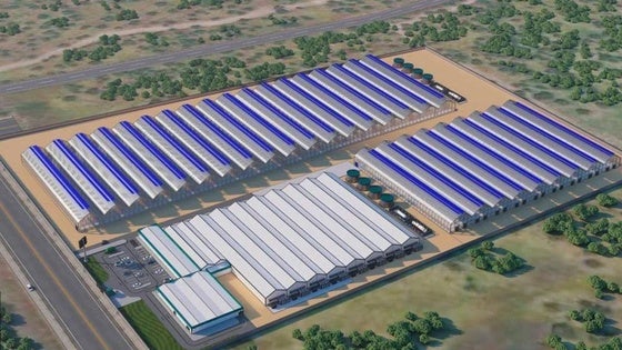 La planta de producción de cannabis creará 40 empleos