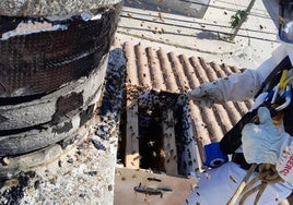 Actuación de los bomberos por la presencia de abejas en un tejado