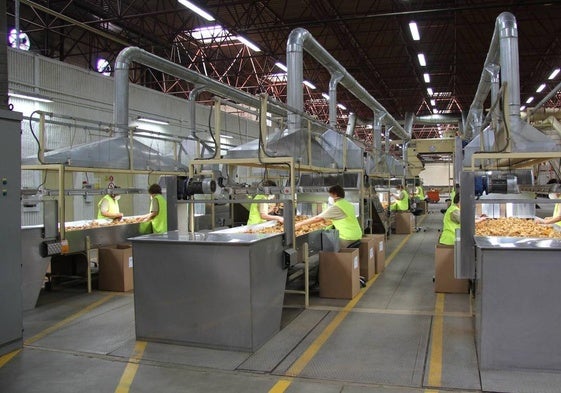 Instalaciones de Cetarsa en Talayuela