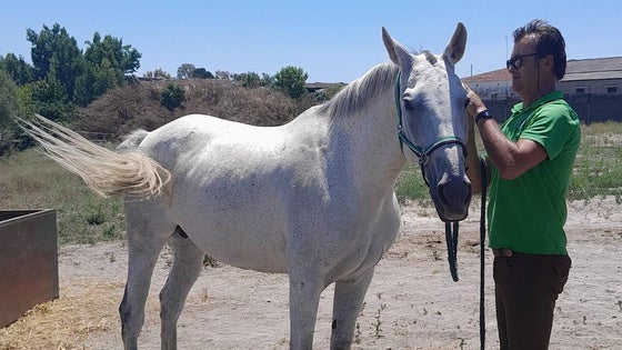 «Aquí el caballo es el soberano, hay que cuidarlo a tope», dice Vidal Carreño