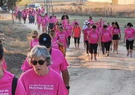 Participantes en una de las marchas rosas del 2023