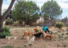 Raúl González Mancheño rodeado de algunos de los perros que cuida