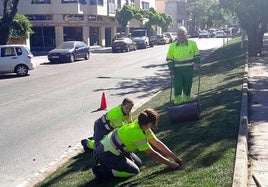Trabajos de jardinería en el avenida de las Angustias