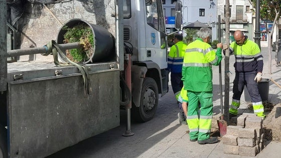 El alcalde defiende la externalización del servicio de jardinería