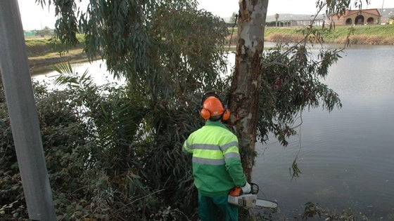 La contratación del servicio de jardinería costará 44.400 euros más de lo previsto