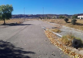 Una de la calle de la urbanización casi sin farolas