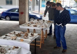 El sábado 9 la actividad se trasladará al Jardincillo con una exposición e identificación de setas,