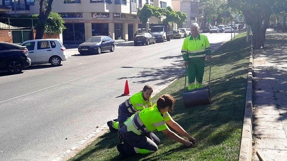 Se reanuda el concurso para mantener las zonas verdes municipales