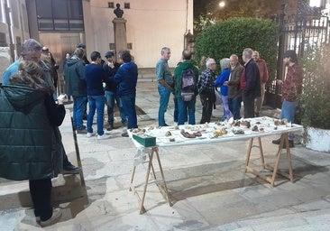 Las XXVI Jornadas Micológicas se cerrarán el domingo en Bohonal de Ibor