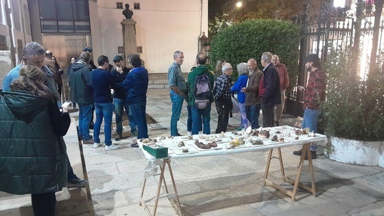 Las XXVI Jornadas Micológicas se cerrarán el domingo en Bohonal de Ibor