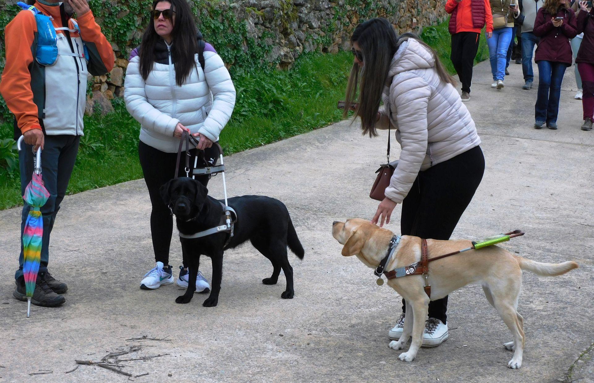 Monfragüe apuesta por el senderismo accesible para personas con deficiencia visual