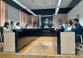 El pleno se reunirá en la mañana del miércoles