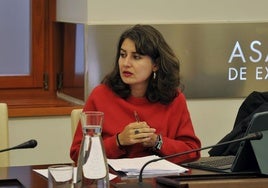 La portavoz de Unidas por Extremadura, Irene de Miguel