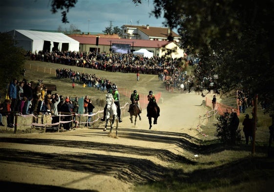 Las carreras de caballos, una tradición de cuatro décadas en Toril.