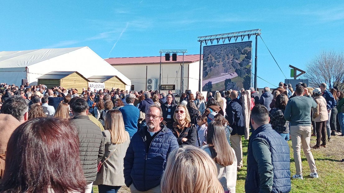 Gran ambiente en Toril en las carreras de caballos de San Blas