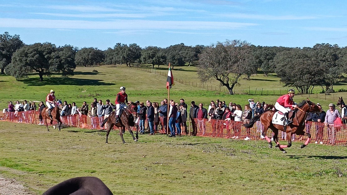 Gran ambiente en Toril en las carreras de caballos de San Blas
