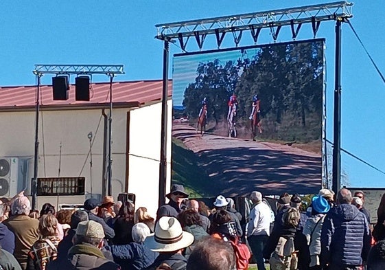 La Carrera de Caballos de San Blas vuelve a llevar a miles de personas a Toril