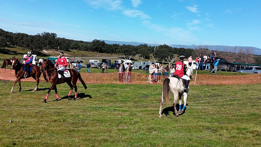 Gran ambiente en Toril en las carreras de caballos de San Blas