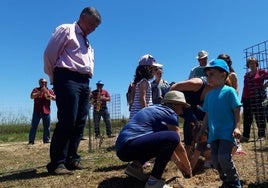Imagen retrospectiva de plantación de encinas