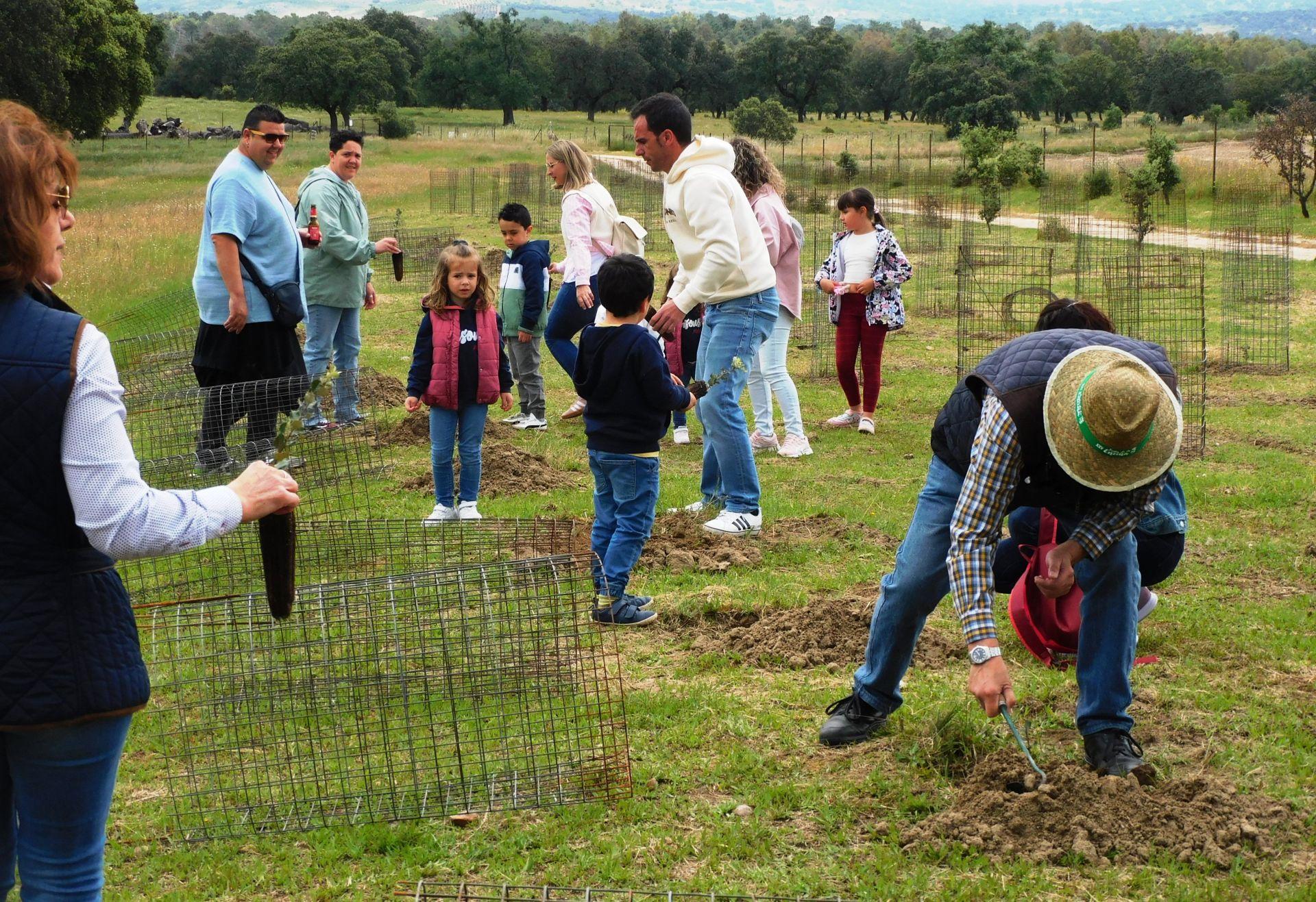 Majadas conmemora los 25 años de la Fiesta de la Encina