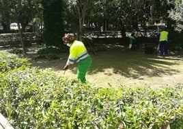 Trabajos en el parque municipal