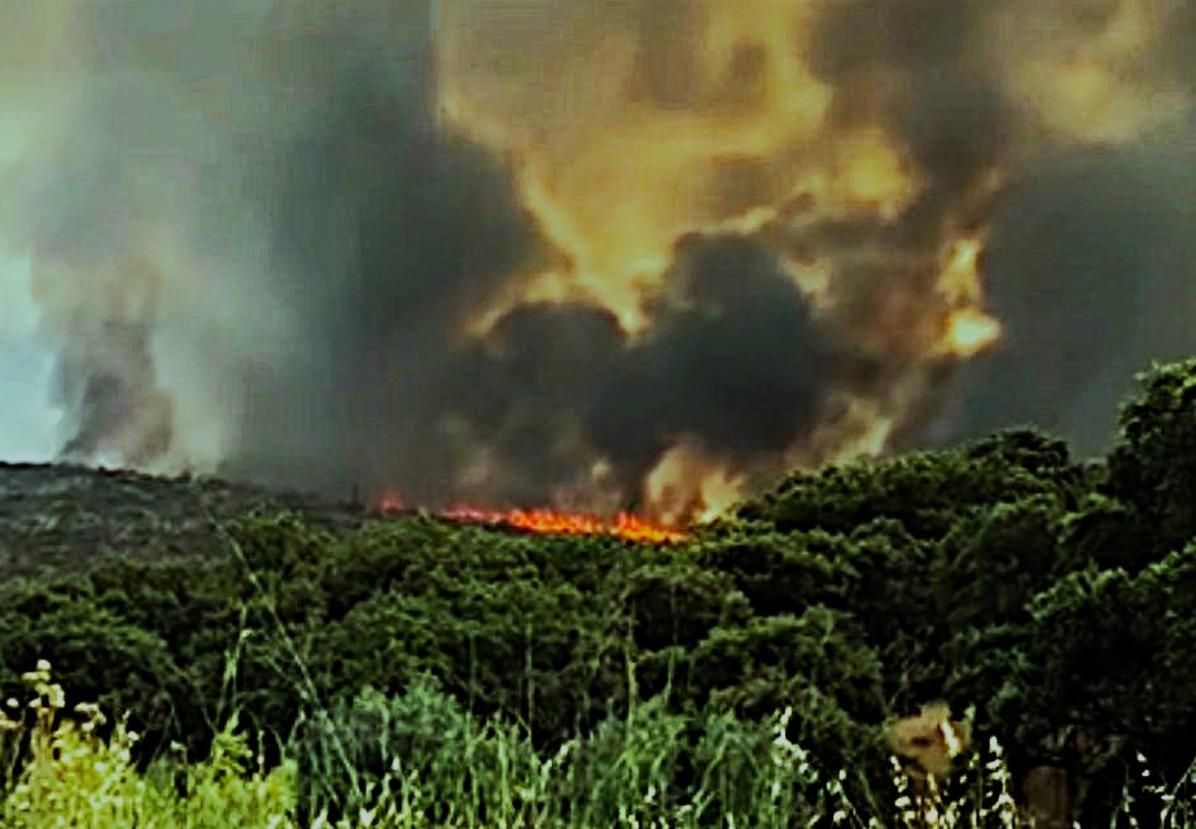 Un incendio en Valdecañas obliga a cortar una carretera y deja sin luz a la población