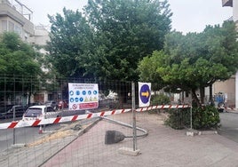 Primeros trabajos en la zona central de la avenida