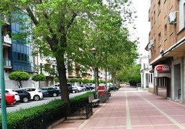 Paseo de la Estación, afectado por las obras del tren en superficie