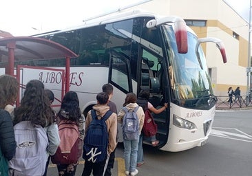 El pleno aprueba el expediente de contratación del futuro bus urbano