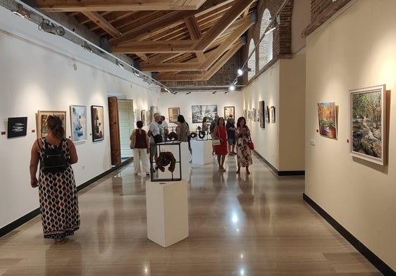 Artistas locales y de la zona muestran su obra en Talavera