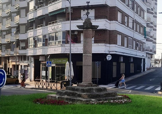 Proponen multar con 750 euros a una mujer por sustraer plantas de una zona verde