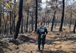 Cuatro detenidos y seis investigados por provocar 17 incendios en la provincia en los últimos meses