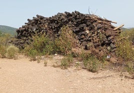 La madera se ve, es evidente, pero nadie hace nada para que se retire