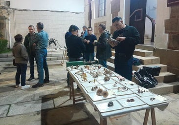 Una exposición en el Jardincillo abrirá las XXVII Jornadas Micológicas