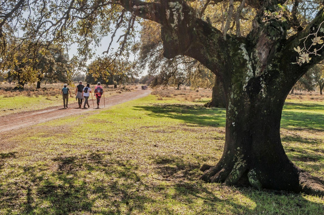 Caminar entreparques