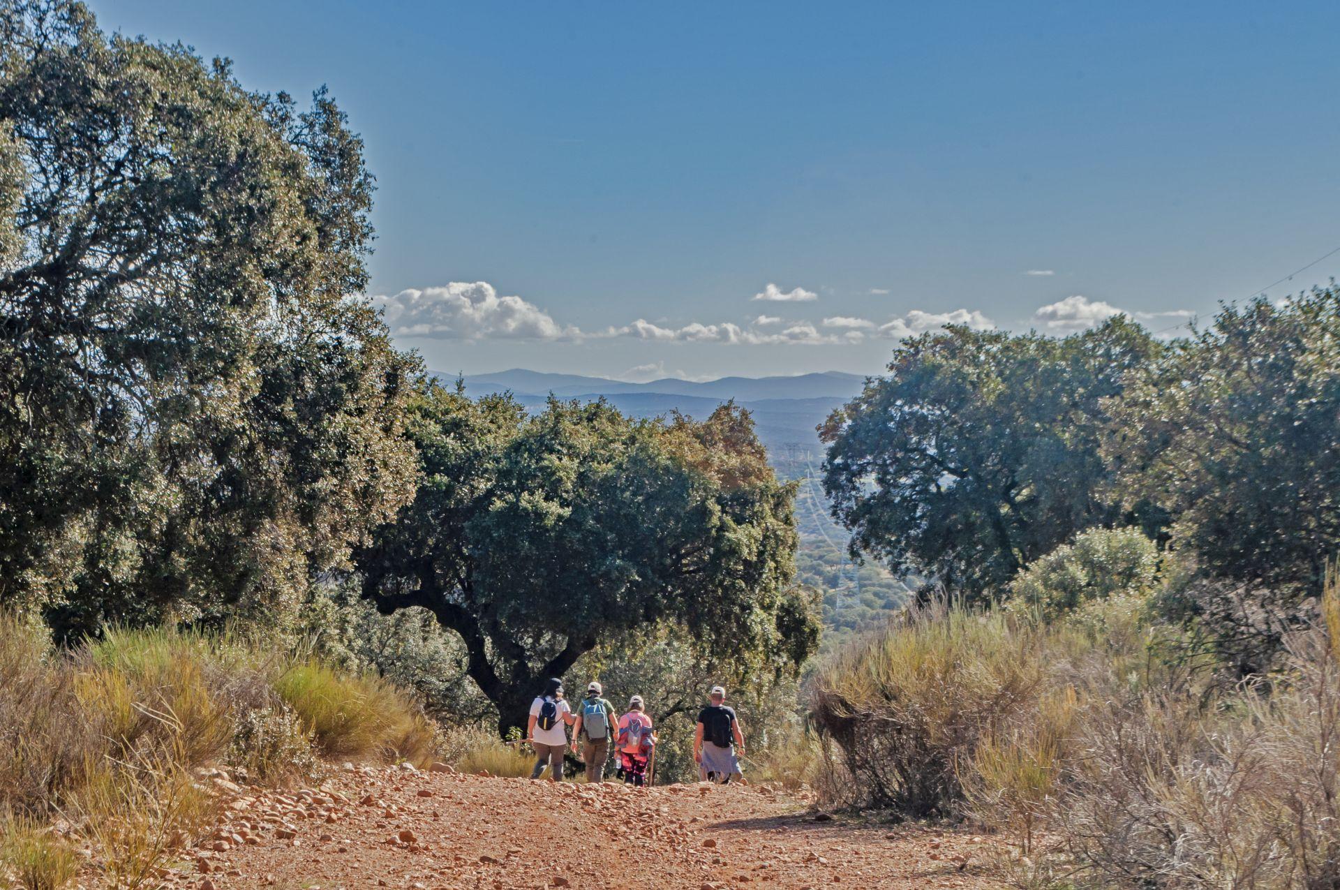 Caminar entreparques