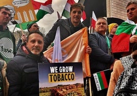 Un momento de la movilización realizada en Bruselas