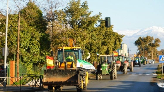 Tractoradas: descontento y desorganización