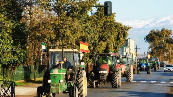 Tractoradas: desorganización y descontento