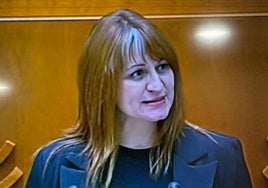 Raquel Medina en la Asamblea de Extremadura