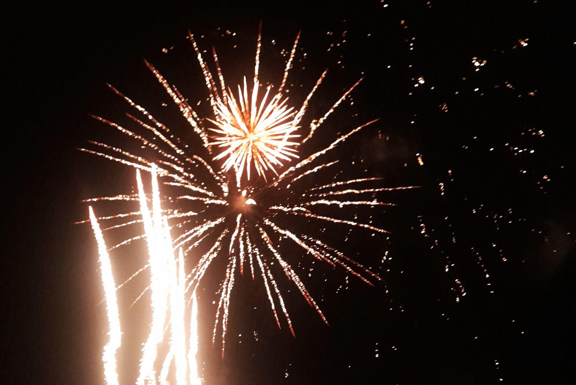 La sardina y los fuegos artificiales despiden, un año más, el Carnaval