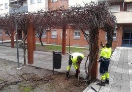 Jardineros municipales trabajando en la zona de Pozo Rancón