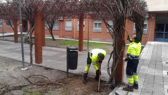 La plantilla de personal municipal asciende a 126 puestos de trabajo