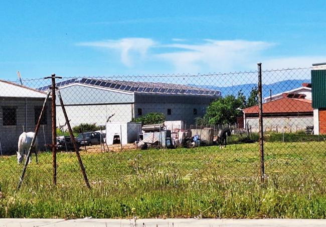 Parcela abandonada dedicada a la cría de animales