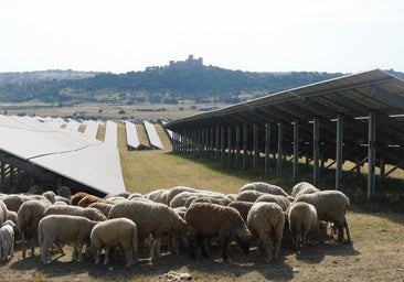 El Campo Arañuelo alberga la mayor batería de almacenamiento de energía de España