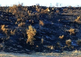 Una barbacoa parece ser la causa del incendio del sábado en los cerros