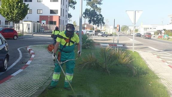 Se van a contratar un jardinero y dos operarios de jardinería