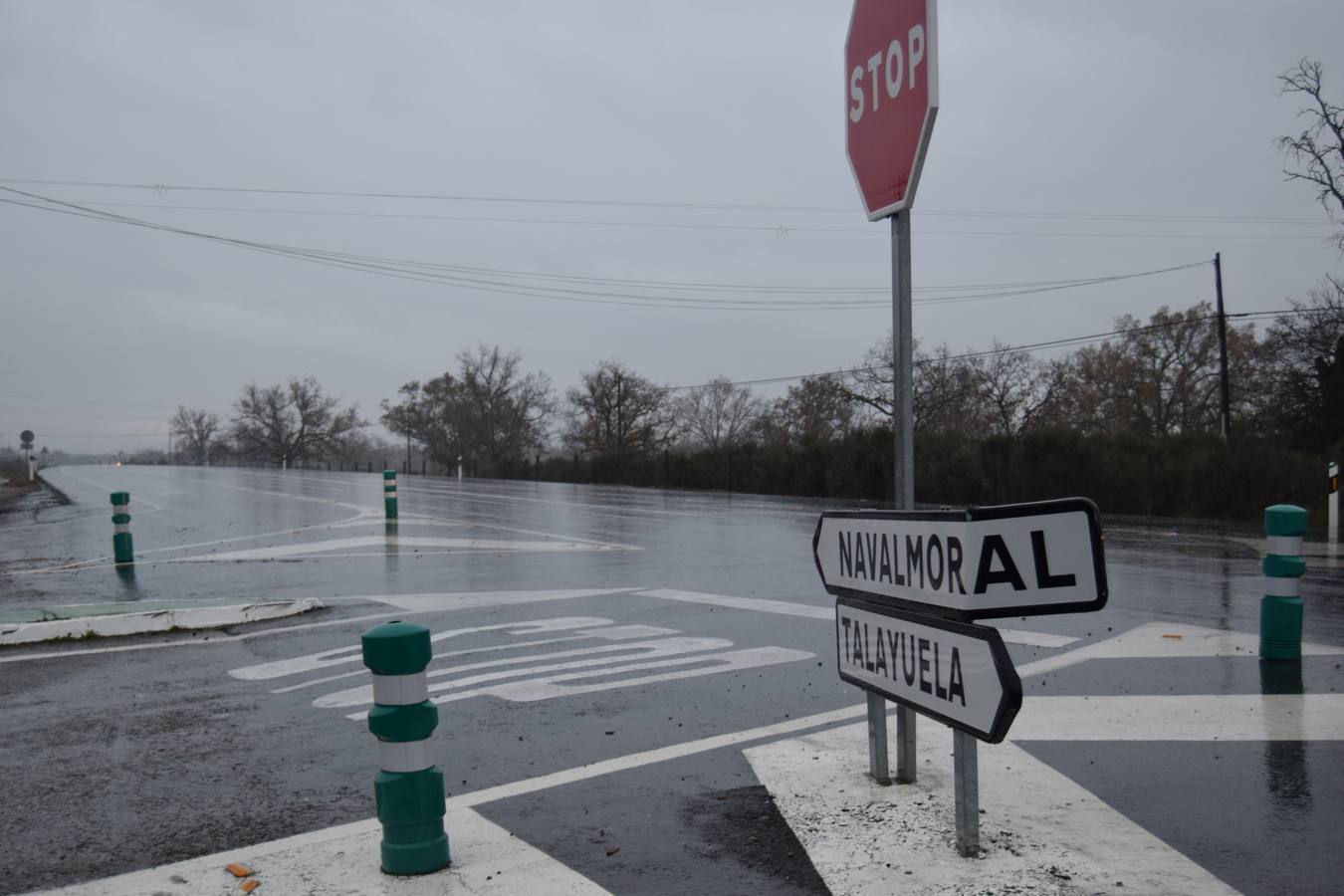 Los jabalíes son el principal peligro estos días en la carretera Navalmoral - Talayuela