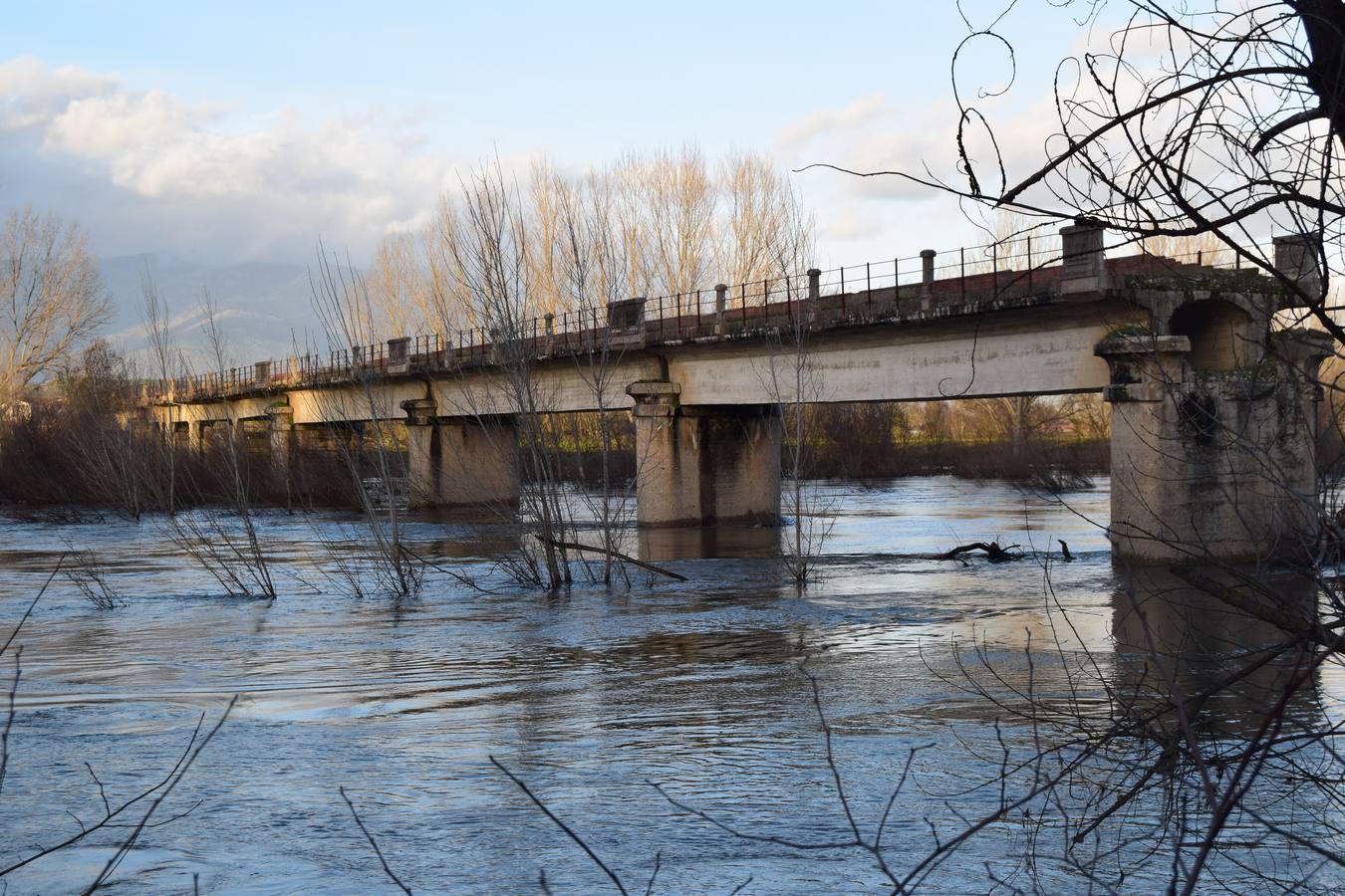 Así bajaba el Tiétar a su paso por el puente 